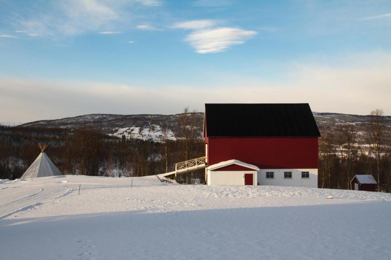 Aurora Borealis Observatory Silsand Buitenkant foto