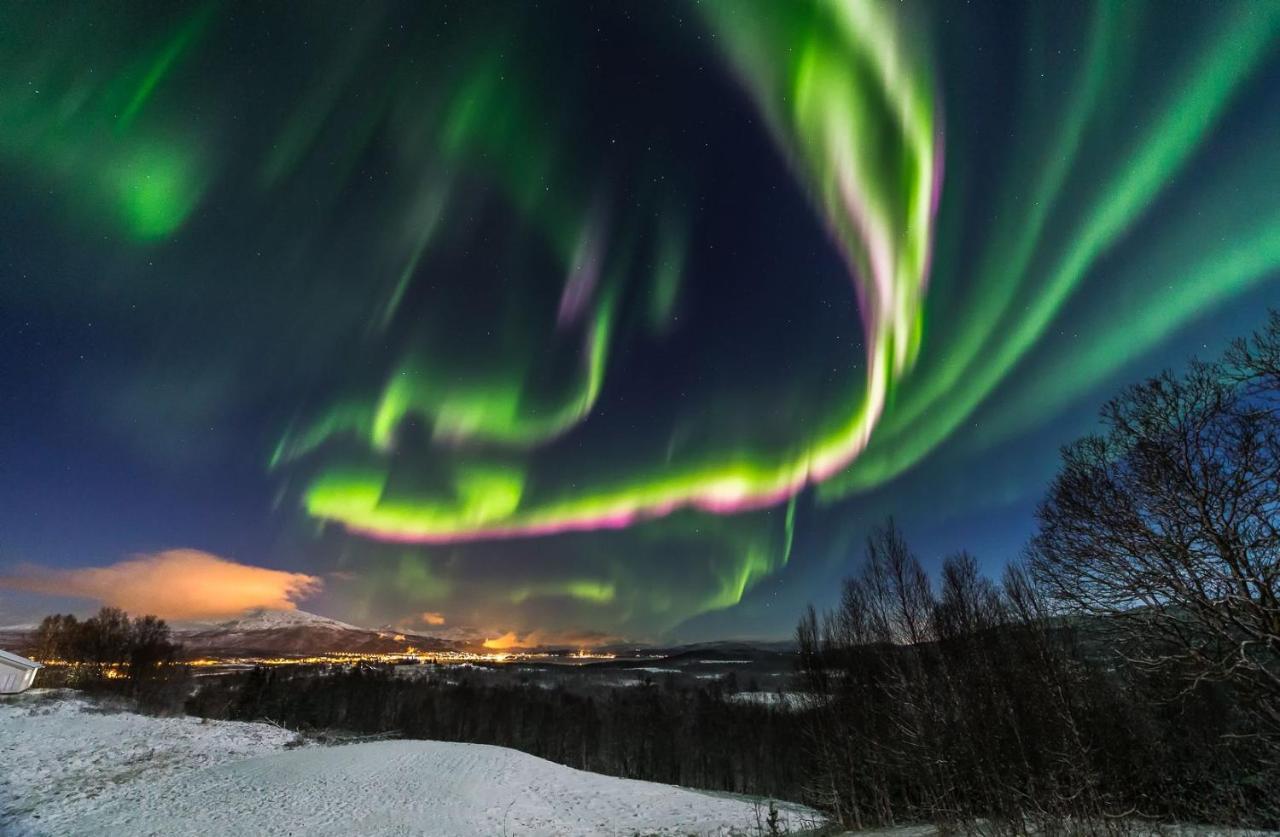 Aurora Borealis Observatory Silsand Buitenkant foto