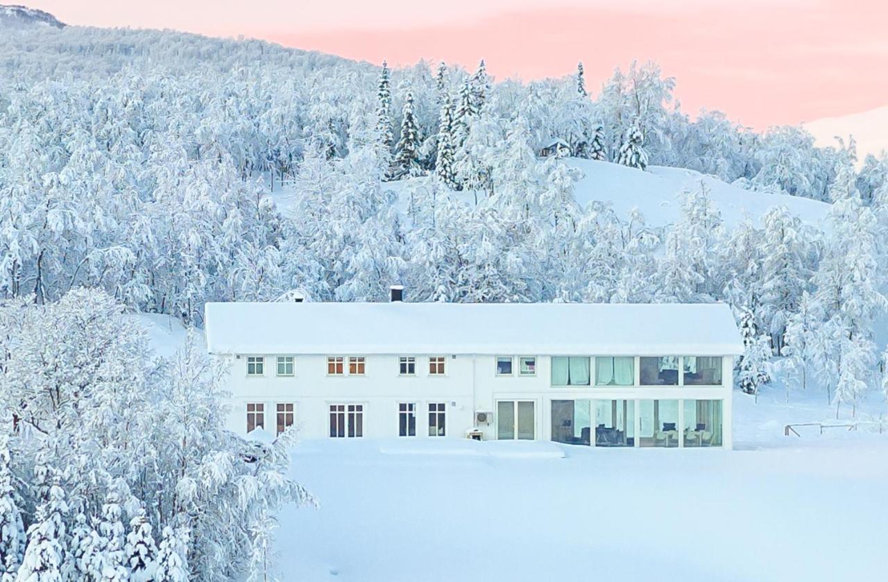 Aurora Borealis Observatory Silsand Buitenkant foto